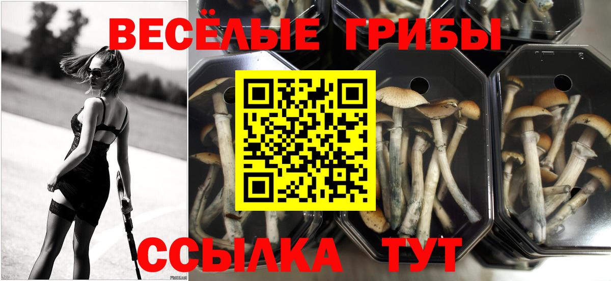 Галлюциногенные грибы GOLDEN TEACHER Чистополь