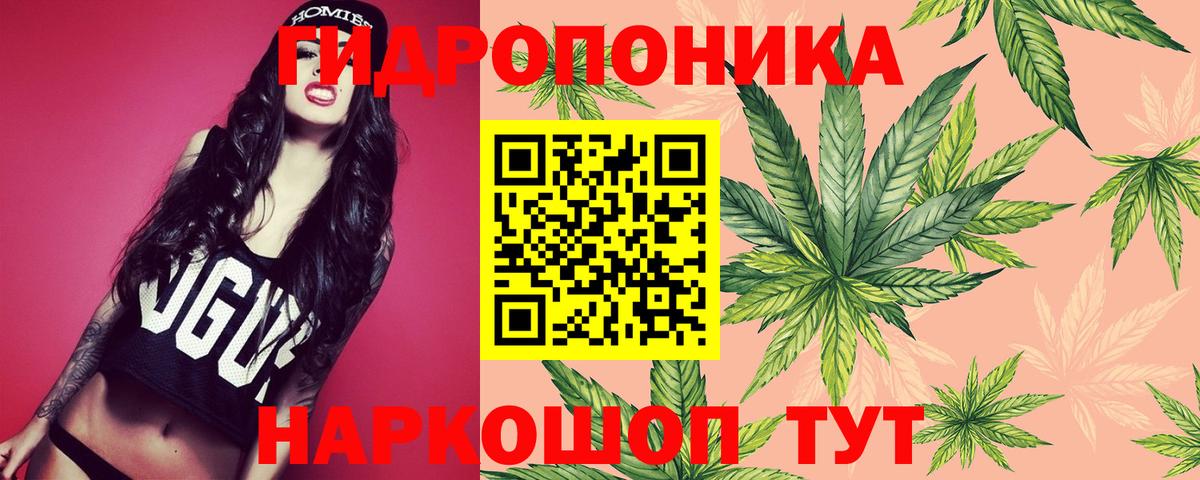 Чистополь  Бошки Шишки марихуана  Вход с VPN  Бошки Шишки индика 